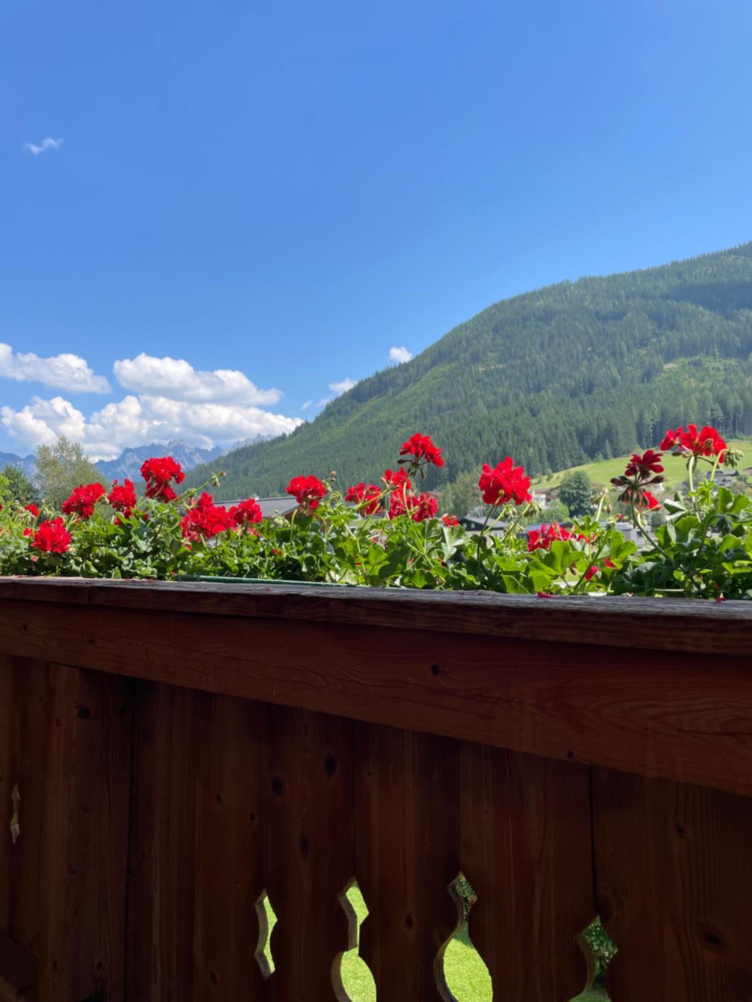 Appartement Wimmhof Sankt Martin am Tennengebirge